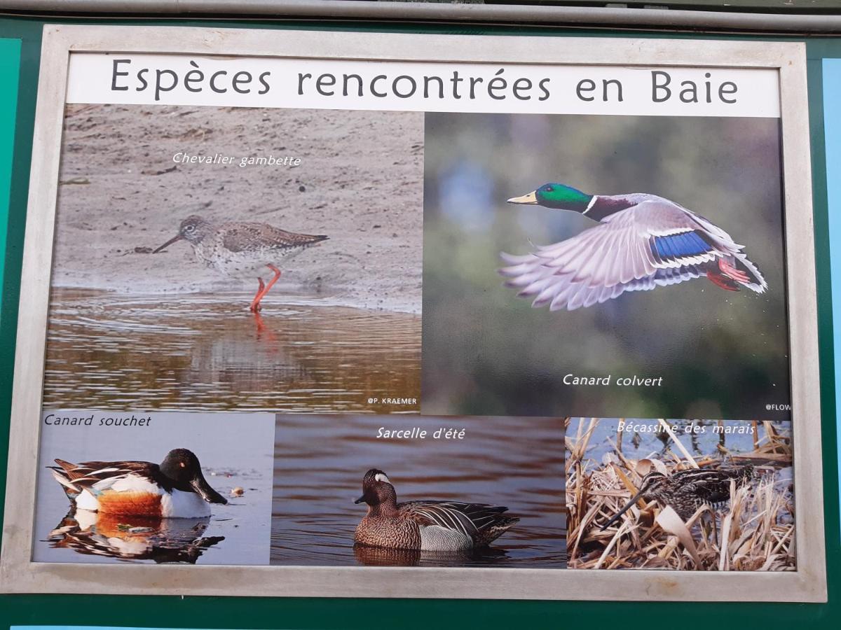 Les Obiones, Vue Laterale Mer, Fort Mahon Plage, Magnifique Studio Cabine 4P, Avec Balcon , Parking Prive Gratuit, Wifi, Classe 2 Etoiles, Exposition Plein Sud En Baie De Somme Bagian luar foto