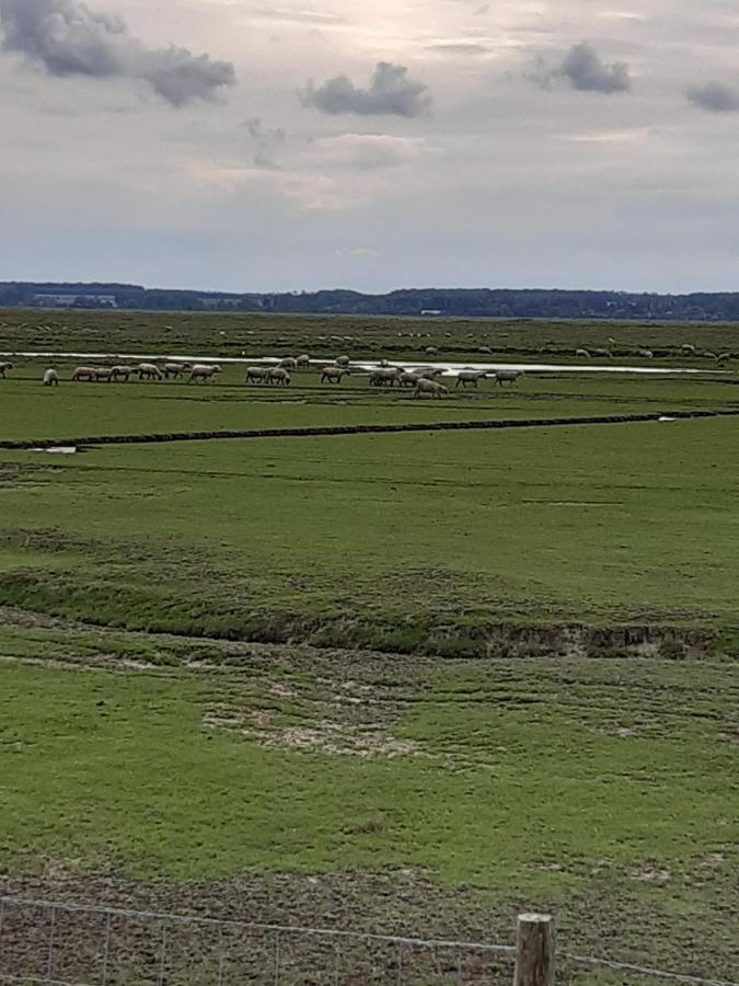 Les Obiones, Vue Laterale Mer, Fort Mahon Plage, Magnifique Studio Cabine 4P, Avec Balcon , Parking Prive Gratuit, Wifi, Classe 2 Etoiles, Exposition Plein Sud En Baie De Somme Bagian luar foto