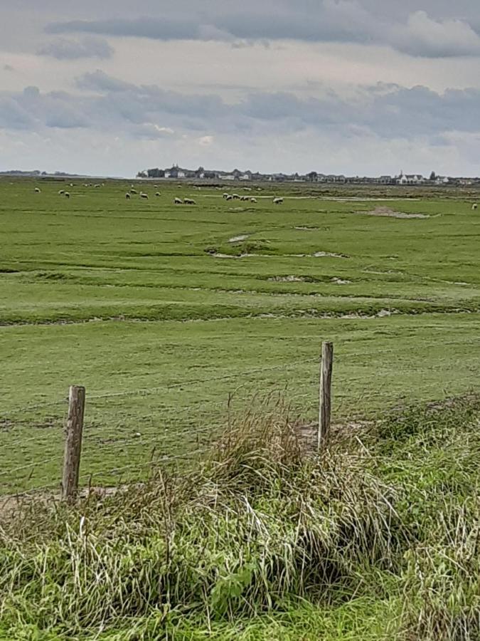 Les Obiones, Vue Laterale Mer, Fort Mahon Plage, Magnifique Studio Cabine 4P, Avec Balcon , Parking Prive Gratuit, Wifi, Classe 2 Etoiles, Exposition Plein Sud En Baie De Somme Bagian luar foto